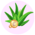Aloe y vitamina e