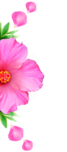 Flor