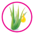Aloe y vitamina e