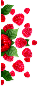 Frambuesa